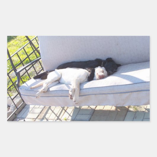 Sticker Rectangulaire sommeil du groupe de laboratoires (Devant)