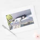 Sticker Rectangulaire sommeil du groupe de laboratoires (Enveloppe)
