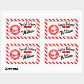Sticker Rectangulaire Special delivery from santa Christmas gift (Feuille)
