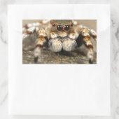 Sticker Rectangulaire Spider Nature Animaux Insectes sauvages (Sac)