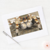 Sticker Rectangulaire Spider Nature Animaux Insectes sauvages (Enveloppe)