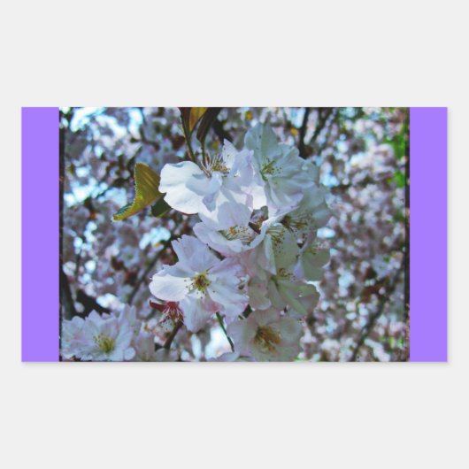 Sticker Rectangulaire Spring Brooklyn Botanical Gardens (Devant)
