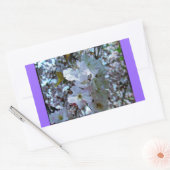 Sticker Rectangulaire Spring Brooklyn Botanical Gardens (Enveloppe)