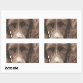 Sticker Rectangulaire Springer anglais (Feuille)