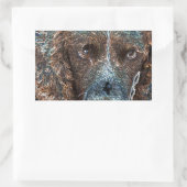 Sticker Rectangulaire Springer anglais (Sac)