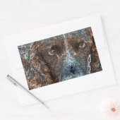 Sticker Rectangulaire Springer anglais (Enveloppe)