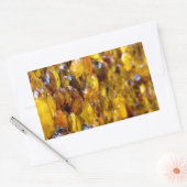 Sticker Rectangulaire St. Thomas 2 (Enveloppe)