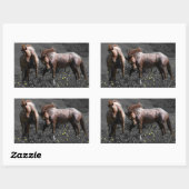 Sticker Rectangulaire Stallion Spar (Feuille)