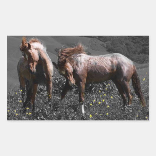 Sticker Rectangulaire Stallion Spar (Devant)