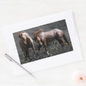 Sticker Rectangulaire Stallion Spar (Enveloppe)