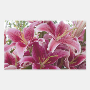 Sticker Rectangulaire Stargazer Lilies