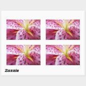 Sticker Rectangulaire Stargazer Lily brillant Magenta Floral (Feuille)