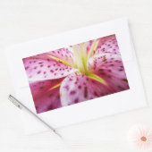 Sticker Rectangulaire Stargazer Lily brillant Magenta Floral (Enveloppe)
