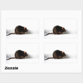 Sticker Rectangulaire Stcnm de bord (Feuille)