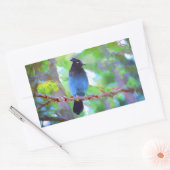 Sticker Rectangulaire Steller's Jay Painting - Art original pour oiseaux (Enveloppe)