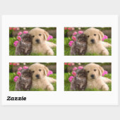 Sticker Rectangulaire Stick Chien Chien Chien Chien et Chien Kitten Gold (Feuille)