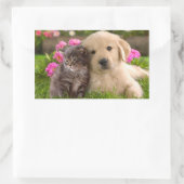 Sticker Rectangulaire Stick Chien Chien Chien Chien et Chien Kitten Gold (Sac)