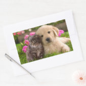 Sticker Rectangulaire Stick Chien Chien Chien Chien et Chien Kitten Gold (Enveloppe)