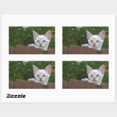 Sticker Rectangulaire Sticule rectangle de chat Savannah blanc (Feuille)