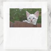 Sticker Rectangulaire Sticule rectangle de chat Savannah blanc (Sac)