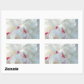 Sticker Rectangulaire Sticule Rectangle de pivoine romantique (Feuille)