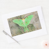 Sticker Rectangulaire Sticule rectangulaire verte Luna Moth (Enveloppe)