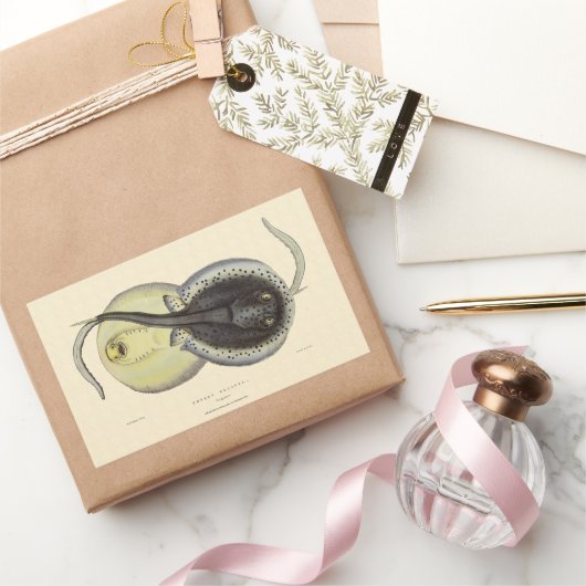 Sticker Rectangulaire Stingrais vintages, Animaux De L'Océan Marin (Cadeaux)