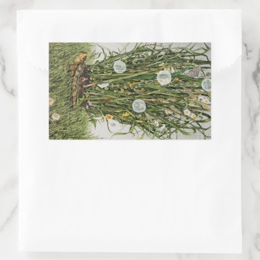 Sticker Rectangulaire Stray Sod (Sac)