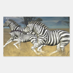 Sticker Rectangulaire Stripes de course - Zebra