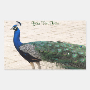 Sticker Rectangulaire Stunning