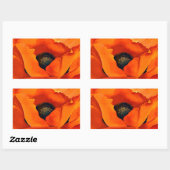 Sticker Rectangulaire Stunning (Feuille)