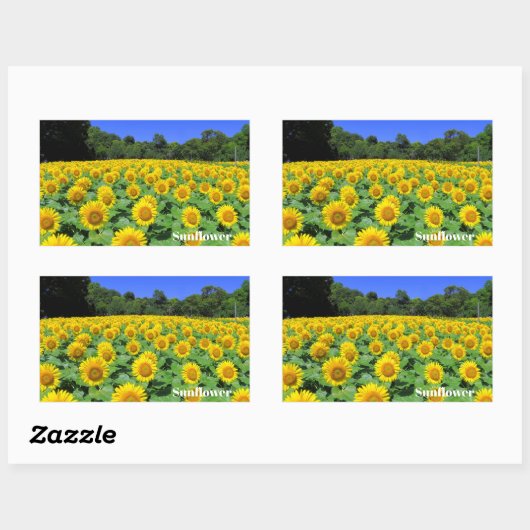 Sticker Rectangulaire Sunflower:Rectangle Seal (Feuille)
