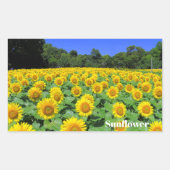 Sticker Rectangulaire Sunflower:Rectangle Seal (Devant)