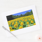 Sticker Rectangulaire Sunflower:Rectangle Seal (Enveloppe)