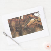 Sticker Rectangulaire Survie pour le fittest.jpg (Enveloppe)