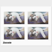 Sticker Rectangulaire Sweet Kitty Dans Lit Plaid (Feuille)