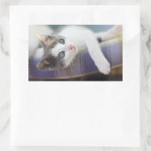 Sticker Rectangulaire Sweet Kitty Dans Lit Plaid (Sac)