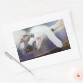 Sticker Rectangulaire Sweet Kitty Dans Lit Plaid (Enveloppe)