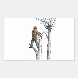 Sticker Rectangulaire Sycamore et 020t