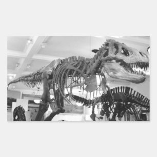 Sticker Rectangulaire T-Rex Crayon squelette
