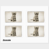 Sticker Rectangulaire Tabby Kitty (Feuille)