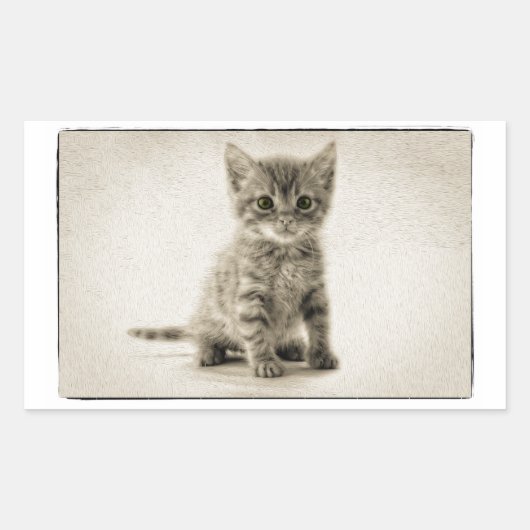 Sticker Rectangulaire Tabby Kitty (Devant)