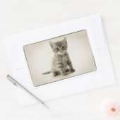 Sticker Rectangulaire Tabby Kitty (Enveloppe)