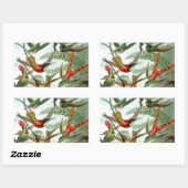 Sticker Rectangulaire tableau classique de la faune des oiseaux colibris (Feuille)