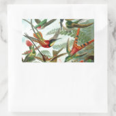 Sticker Rectangulaire tableau classique de la faune des oiseaux colibris (Sac)