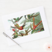 Sticker Rectangulaire tableau classique de la faune des oiseaux colibris (Enveloppe)