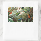 Sticker Rectangulaire tableau classique de la faune des oiseaux colibris (Sac)