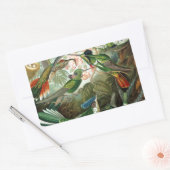 Sticker Rectangulaire tableau classique de la faune des oiseaux colibris (Enveloppe)