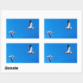 Sticker Rectangulaire Tadorne commune (Feuille)