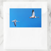 Sticker Rectangulaire Tadorne commune (Sac)